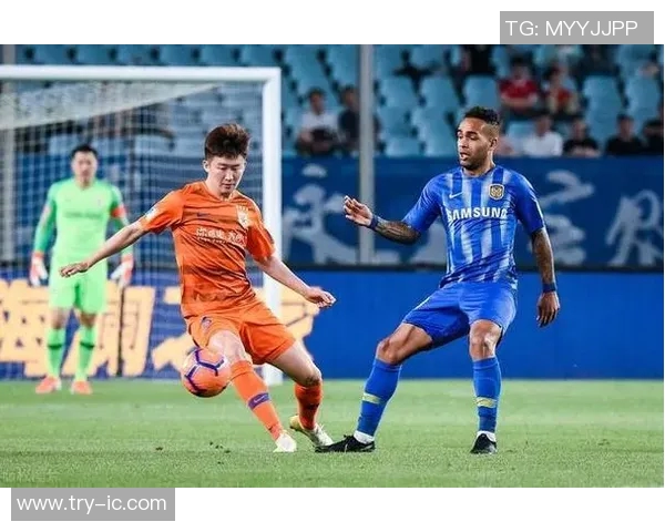 深圳乒乓球队灵活性引发热议球迷与专家观点大碰撞