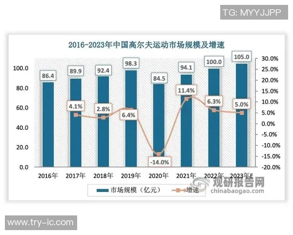 深圳网球队节奏表现深度分析与数据解读助力团队提升