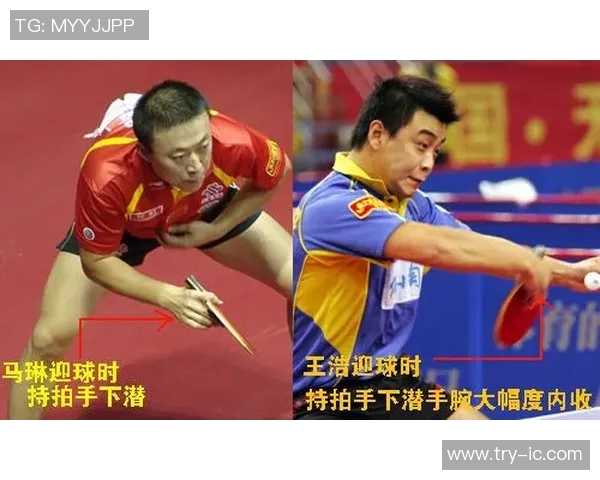 从零基础到高手之路乒乓球技术全方位提升指南