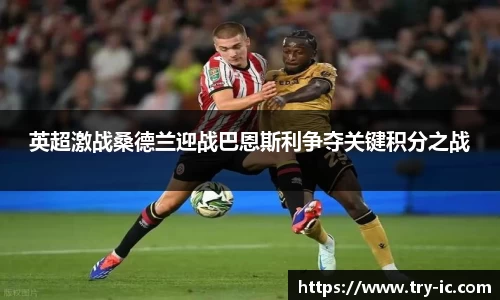 英超激战桑德兰迎战巴恩斯利争夺关键积分之战