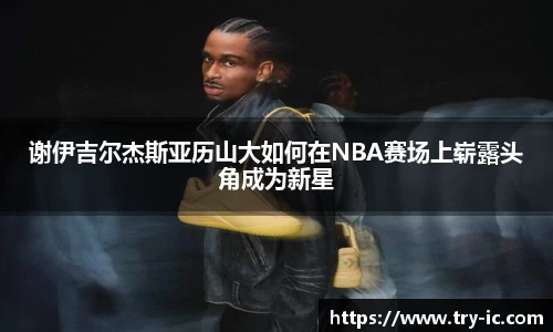 谢伊吉尔杰斯亚历山大如何在NBA赛场上崭露头角成为新星
