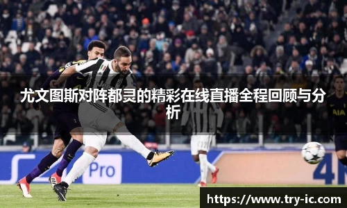 im电竞官网