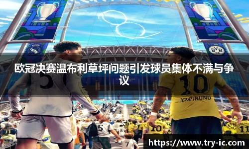 欧冠决赛温布利草坪问题引发球员集体不满与争议